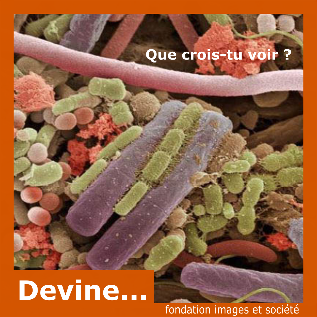 Devinette